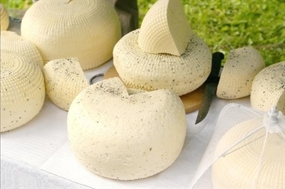 3 Hour Cheese Making for One